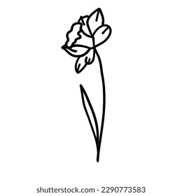 Flower in outline doodle flat style for coloring. Simple floral element plant leaves decorative design. Hand drawn line art. Creative sketch. Vector illustration isolated on white background.