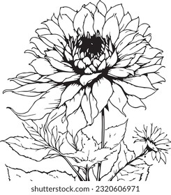 silueta vectorial completa de contorno de flores