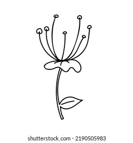 Flower outline. Hand drawn floral elements for design. Sketch drawing.