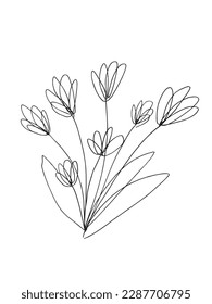Flower outline illustration vector image. Hand drawn plants sketch image artwork. Simple original logo icon from pen drawing sketch.