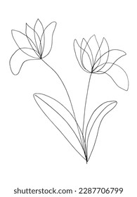 Flower outline illustration vector image. Hand drawn plants sketch image artwork. Simple original logo icon from pen drawing sketch.