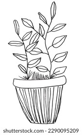 Imagen vectorial de la ilustración del contorno de las flores. 
Dibujo manual de imágenes de esbozo de planta. 
Sencillo icono botánico original del logo de la pluma.