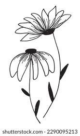 Imagen vectorial de la ilustración del contorno de las flores. 
Dibujo manual de imágenes de esbozo de planta. 
Sencillo icono botánico original del logo de la pluma.