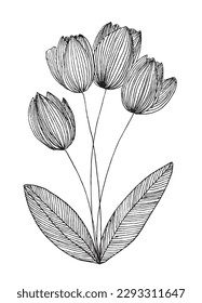 Imagen vectorial de la ilustración del contorno de las flores. 
Obra de arte con imágenes de flores dibujadas a mano. 
Sencillo y lindo logotipo original de un tulipán monocromo.
Ilustración vectorial dibujada a mano para afiches, tarjetas, camisetas.