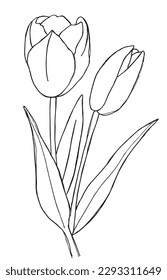 Flower outline illustration vector image. 
Hand drawn flower image artwork. 
Simple cute original logo of a monochrome tulip.
Hand drawn vector illustration for posters, cards, t-shirts.