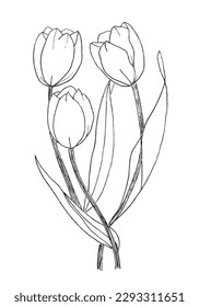 Flower outline illustration vector image. 
Hand drawn flower image artwork. 
Simple cute original logo of a monochrome tulip.
Hand drawn vector illustration for posters, cards, t-shirts.