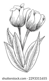 Flower outline illustration vector image. 
Hand drawn flower image artwork. 
Simple cute original logo of a monochrome tulip.
Hand drawn vector illustration for posters, cards, t-shirts.