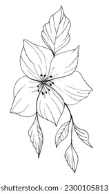 Flower outline illustration vector image. 
Hand drawn flower image artwork. 
Simple cute original logo of a monochrome flower.
Hand drawn vector illustration for posters, cards, t-shirts.