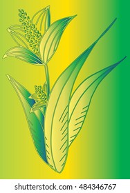 Flower outline. Isolated vector illustration on white background