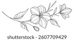 Flower outline on transparent background vector. floral, flowers, leaves, foliage, branches in hand drawn. Floral element design