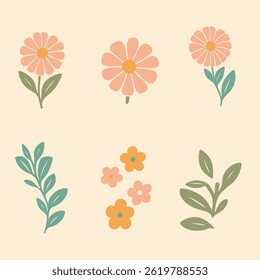 flower pack illustration for your merchandise