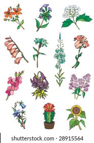 Flower Pack isolated 1