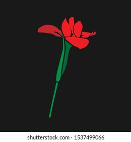 Flower Pack Roses and Petals Vector EPS
