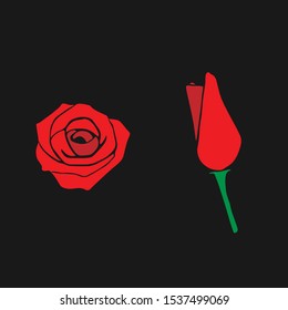 Flower Pack Roses and Petals Vector EPS