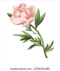 Flower painting colored classical decoration