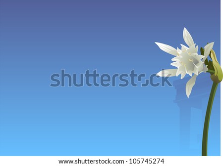 Similar – Image, Stock Photo A sea of daffodils
