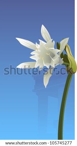 Similar – Image, Stock Photo A sea of daffodils