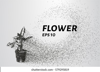 Flower of the particles. The flower pot consists of circles and points. Vector illustration.