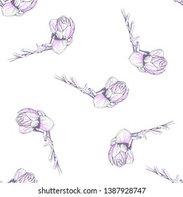 Flower Pastel. Romantic Seamless Pattern. Floral Texture Sketch. Geometric Pastel Ornament. Endless Repeat Flowers Magnolia. Summer Trend Seamless Pattern. Vector Background. Modern Wedding Print.