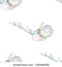 Flower Pastel. Romantic Seamless Pattern. Floral Texture Sketch. Geometric Pastel Ornament. Endless Repeat Flowers Magnolia. Summer Trend Seamless Pattern. Vector Background. Modern Wedding Print.