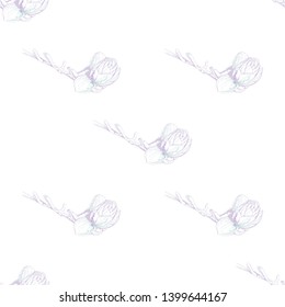 Flower Pastel. Romantic Seamless Pattern. Floral Texture Sketch. Geometric Pastel Ornament. Endless Repeat Flowers Magnolia. Summer Trend Seamless Pattern. Vector Background. Modern Wedding Print.