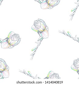 Flower Pastel. Romantic Seamless Pattern. Floral Texture Sketch. Geometric Pastel Ornament. Endless Repeat Flowers Magnolia. Summer Trend Seamless Pattern. Vector Background. Modern Wedding Print.