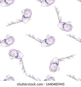 Flower Pastel. Romantic Seamless Pattern. Floral Texture Sketch. Geometric Pastel Ornament. Endless Repeat Flowers Magnolia. Summer Trend Seamless Pattern. Vector Background. Modern Wedding Print.