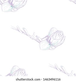 Flower Pastel. Romantic Seamless Pattern. Floral Texture Sketch. Geometric Pastel Ornament. Endless Repeat Flowers Magnolia. Summer Trend Seamless Pattern. Vector Background. Modern Wedding Print.