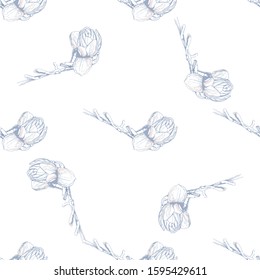 Flower Pastel. Romantic Seamless Pattern. Floral Texture Sketch. Geometric Pastel Ornament. Endless Repeat Flowers Magnolia. Summer Trend Seamless Pattern. Vector Background. Modern Wedding Print.