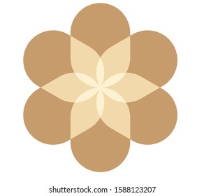 Flower patern from polygon shape