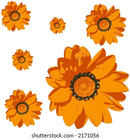 Flower pattern