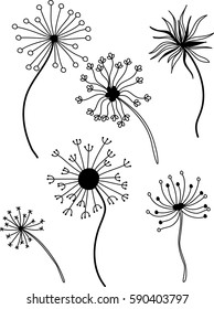 flower pattern