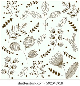 flower pattern