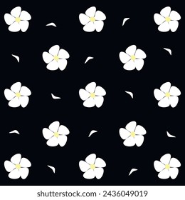 Flower pattern with black background, white flowers, white camomiles, vector illustration 