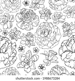 Patrón de flores Daffodils, Carnación. Ornamento dibujado por un vector de línea negra sobre un fondo blanco