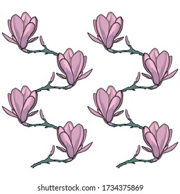 Flower pattern. Floral seamless background. Vector composition on an isolated background.