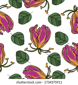 Blumenmuster Bläserner nahtloser Hintergrund. Vektoraufbau auf isoliertem Hintergrund.