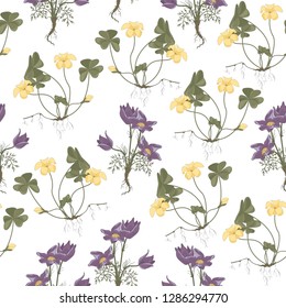 Flower pattern with hand drawn wild flora. Realistic isolated seamless flower, blooming wild print, blooming realistic flowers. Seamless clipart for surface textures, posters. Vector illustration.