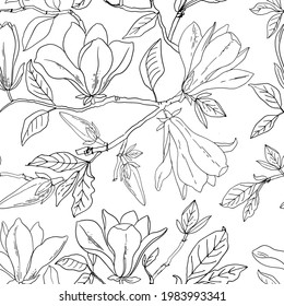 Flower pattern Magnolia. Vector sketch of flowers by line on a white background. Decor