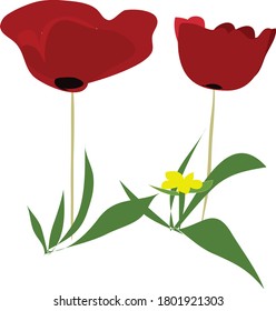 flower pattern original design and digital drawing. It can be used in web, wallpaper, ceramic and fabric designs.