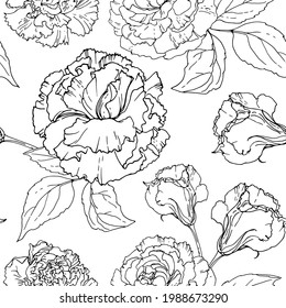 Flower pattern Ornament drawn by a black line vector on a white background