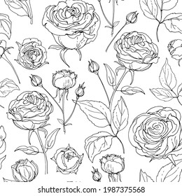 Flower pattern Roses. Ornament drawn by a black line vector on a white background