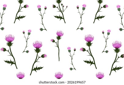 Flower pattern of thistle. Seamless cute floral vector pattern. Purple Scottish flowers with thorns. Ditsy print. Perfect pattern for your design and textile decoration.  Botanic Tile.