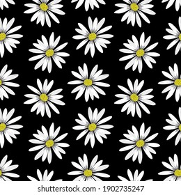 Flower pattern of white daisy on black background