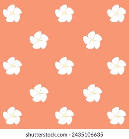 Patrón de flores con flores blancas, camomilas blancas, ilustración vectorial 