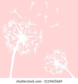 patrón floral, textura vectorial sin costura. Para impresiones de moda. Impresión con estilo dibujado a mano sobre fondo blanco.
