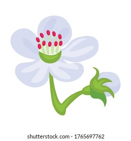 Flower pear vector icon.Cartoon vector icon isolated on white background flower pear.