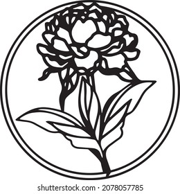 Flower Peony Clip Art Vector  