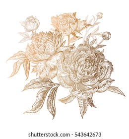 Flower peony gold foil print on white background. Vector illustration vintage. Decoration dress, phone cases, wedding design, decor of interior, covers, post cards, business cards, corporate identity.