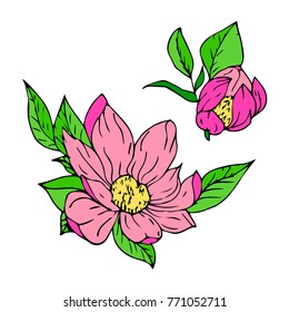 Flower peony vector illustration. Doodle style. Design, print, decor, textile, paper